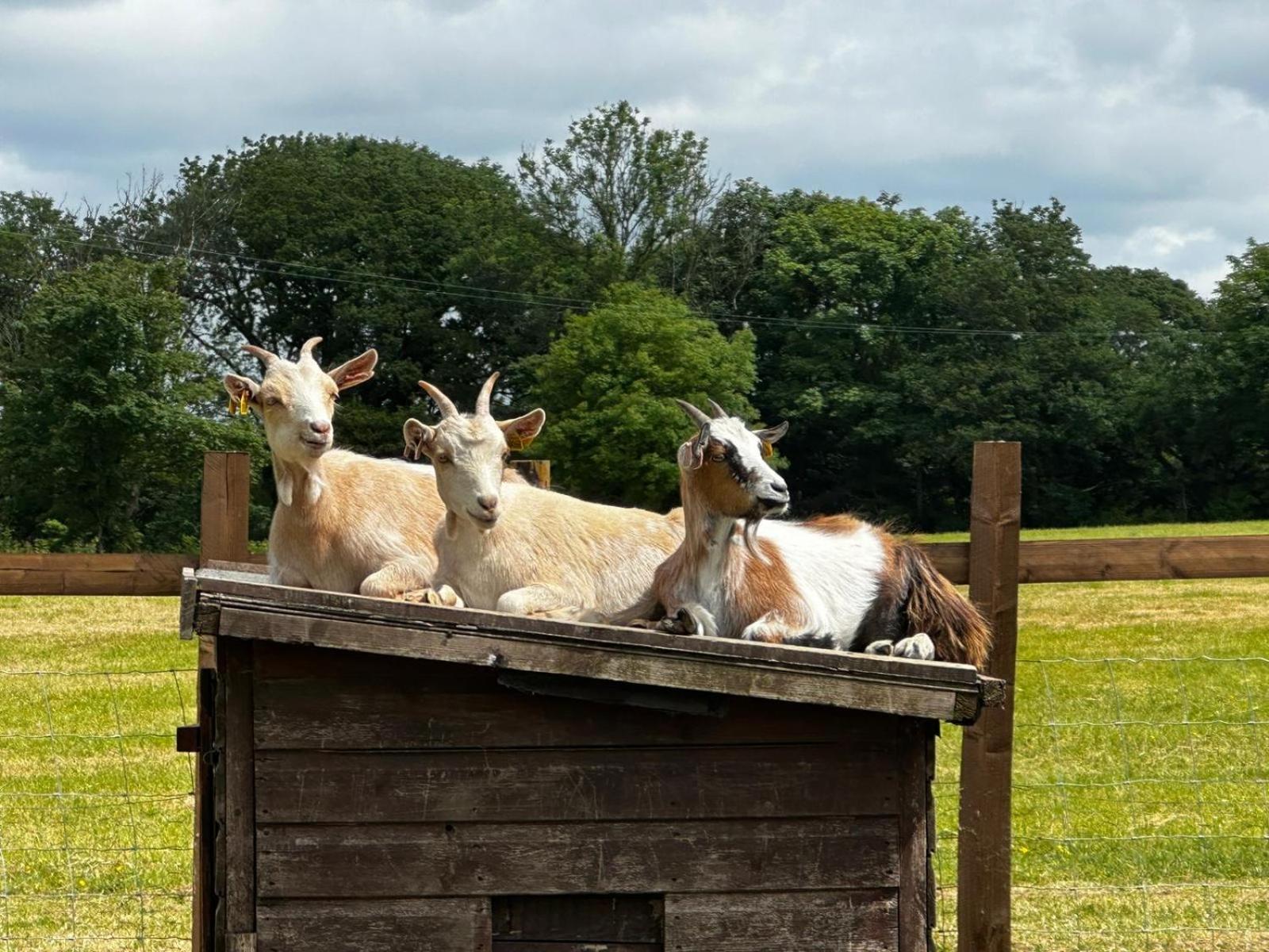 Hotel Stags Hide Minwear Exteriér fotografie